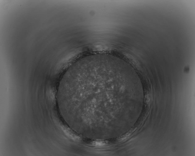 X0000089960662200707061141
