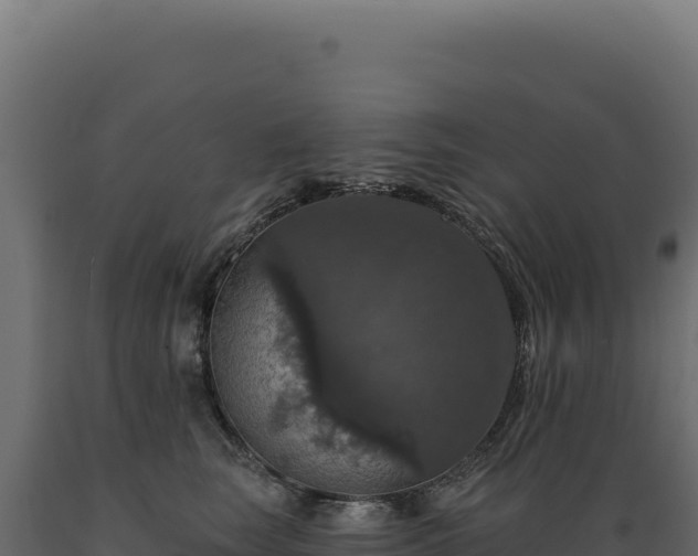 X0000089960663200707061141