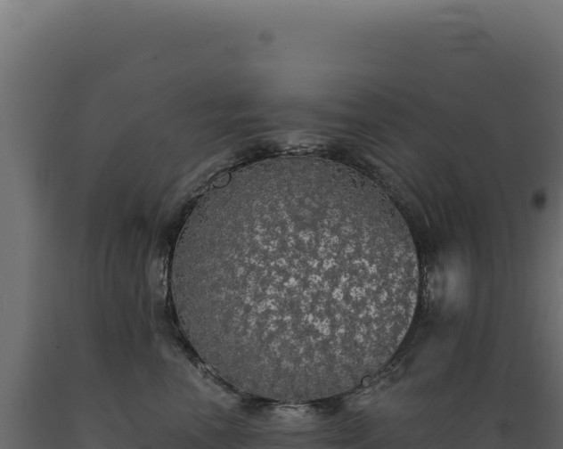 X0000089960666200707061141