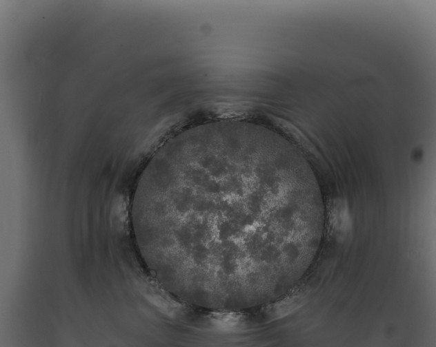 X0000089960667200707061141