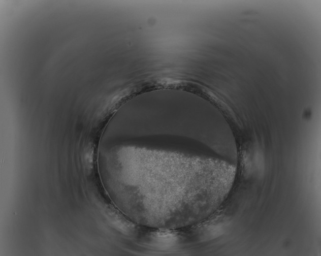 X0000089960668200707061141