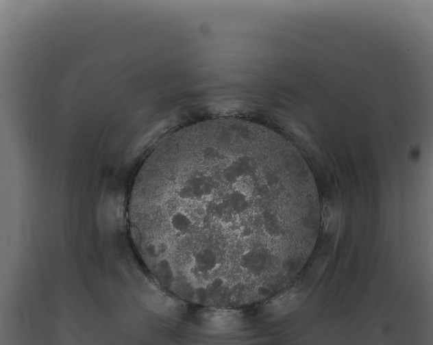 X0000089960670200707061141