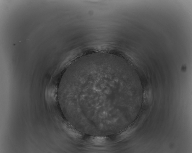X0000089960671200707061141
