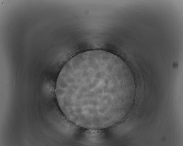 X0000089960672200707061141