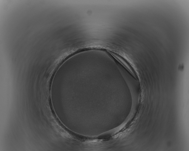 X0000089960673200707061141