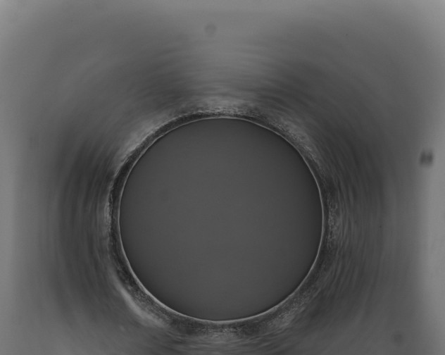X0000089960674200707061141