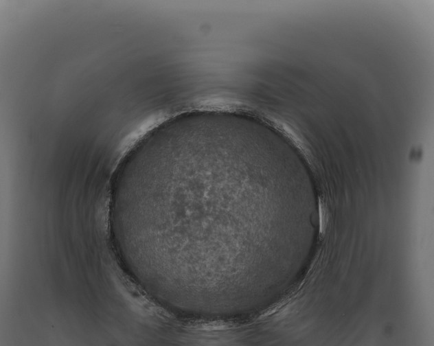 X0000089960675200707061141