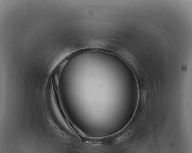 X0000089960676200707061141