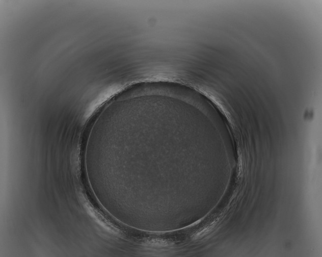 X0000089960677200707061141