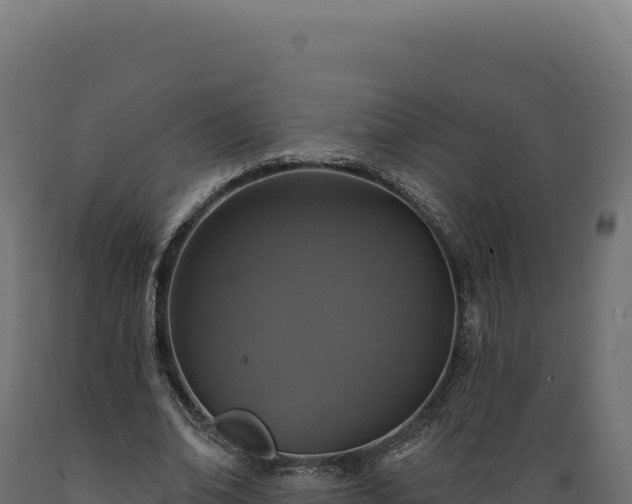 X0000089960678200707061141