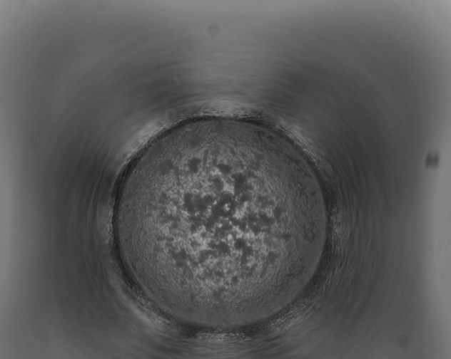 X0000089960679200707061141