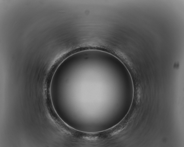 X0000089960680200707061141