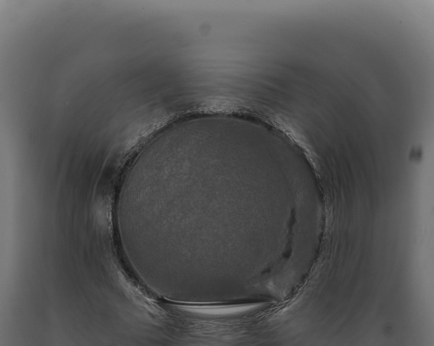 X0000089960681200707061141