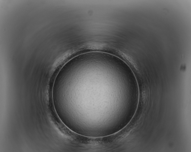 X0000089960682200707061141