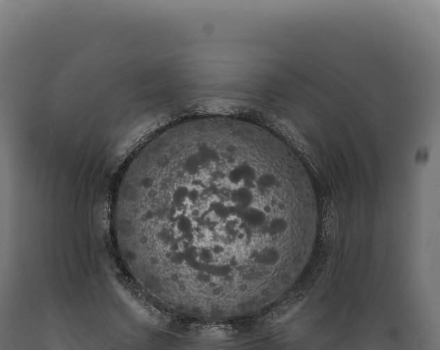 X0000089960683200707061140