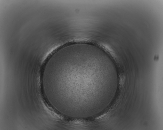 X0000089960684200707061140