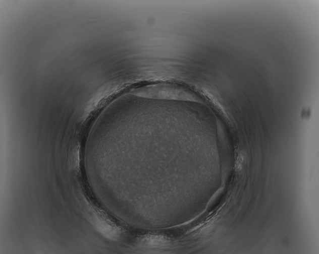 X0000089960685200707061140