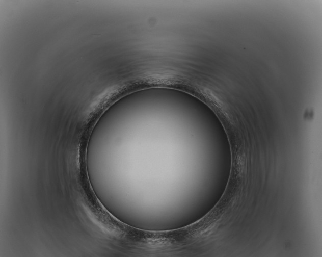 X0000089960686200707061140