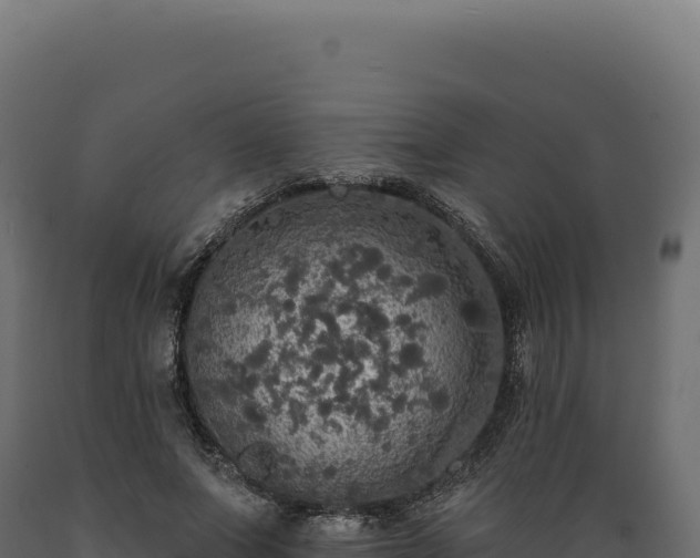 X0000089960687200707061140