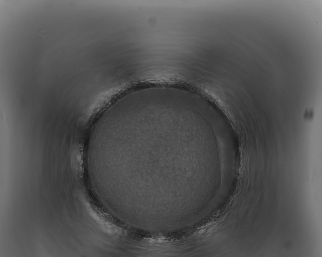 X0000089960688200707061140