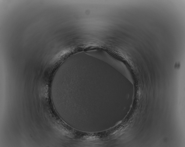 X0000089960689200707061140