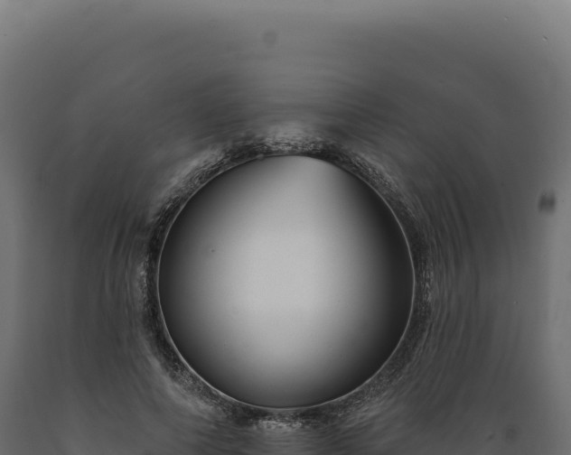 X0000089960690200707061140