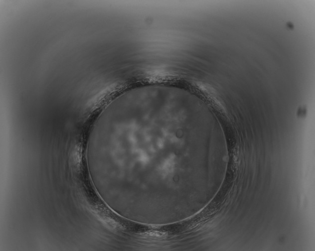 X0000089960691200707061140