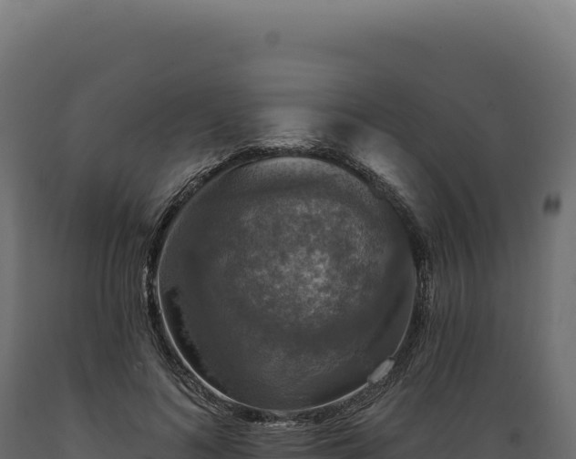 X0000089960692200707061140