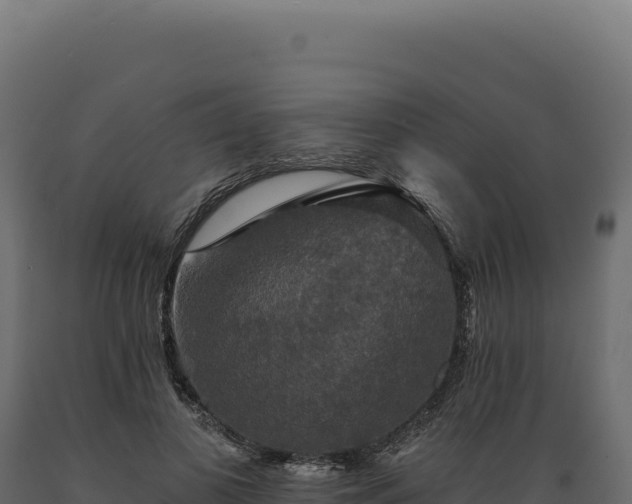 X0000089960693200707061140