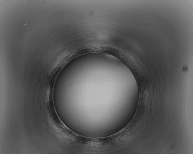 X0000089960694200707061140