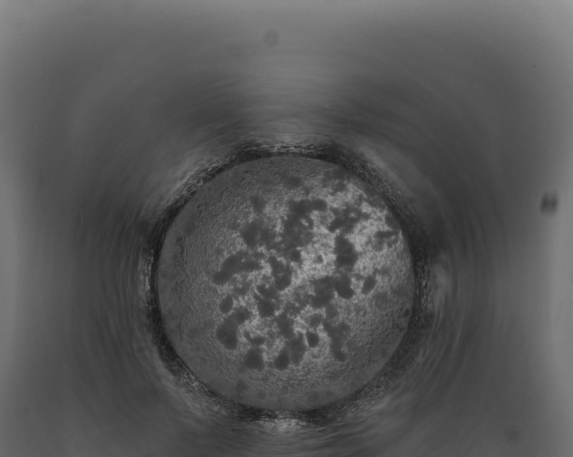 X0000089960695200707061140