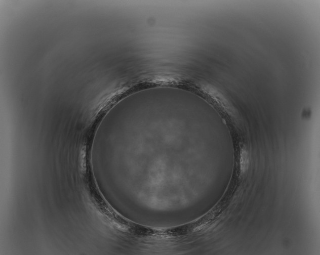 X0000089960696200707061140