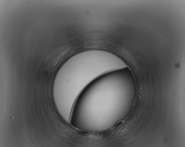 X0000089960697200707061140