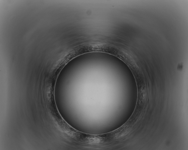X0000089960698200707061140