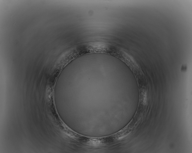 X0000089960701200707061140