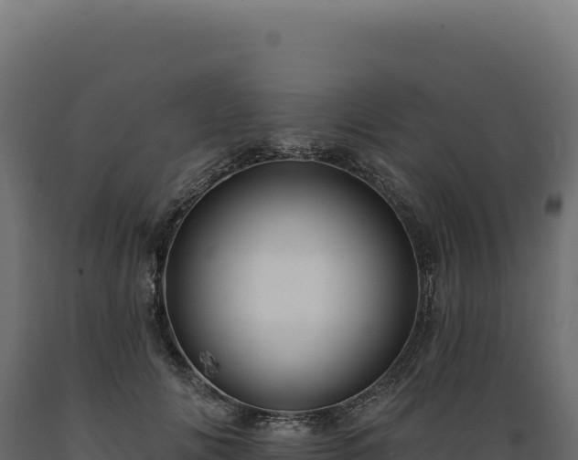 X0000089960702200707061140