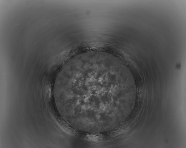 X0000089960703200707061140