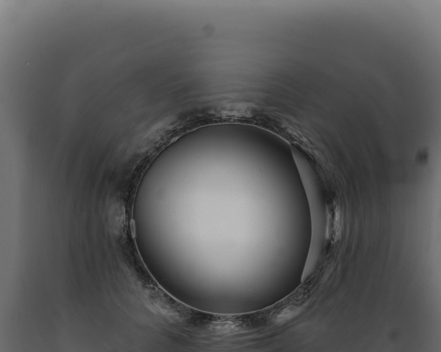 X0000089960704200707061140