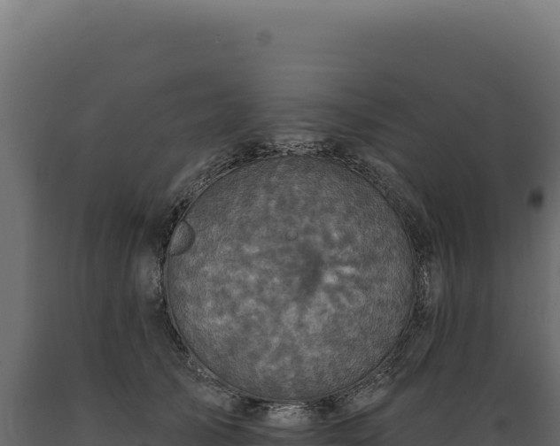 X0000089960705200707061140