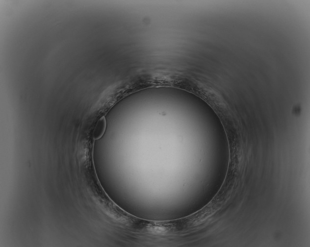 X0000089960706200707061140
