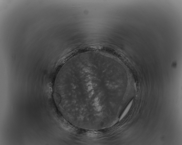X0000089960707200707061140