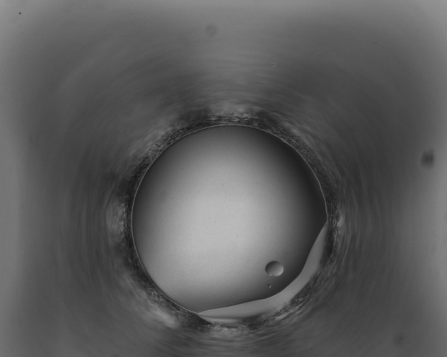 X0000089960708200707061140