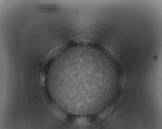 X0000089960709200707061140