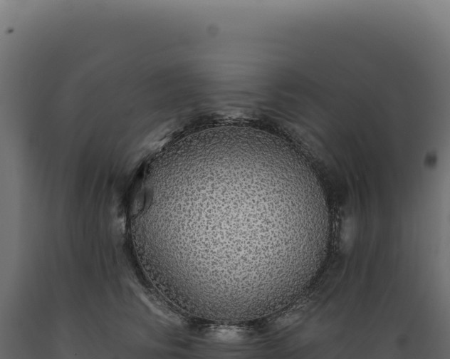 X0000089960710200707061140