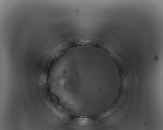 X0000089960711200707061140