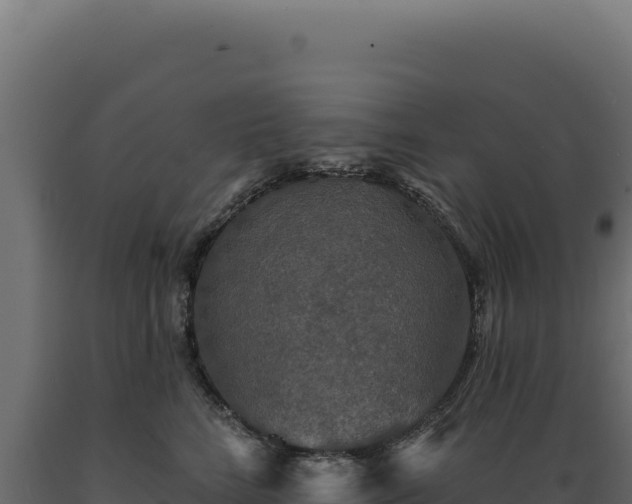 X0000089960712200707061140