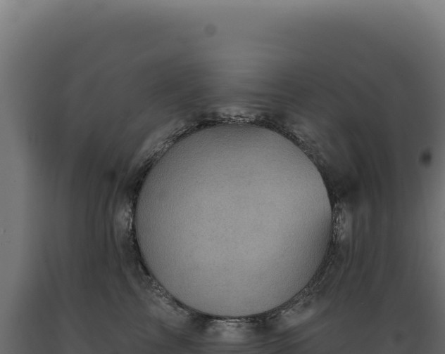 X0000089960713200707061140
