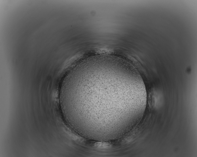X0000089960714200707061140
