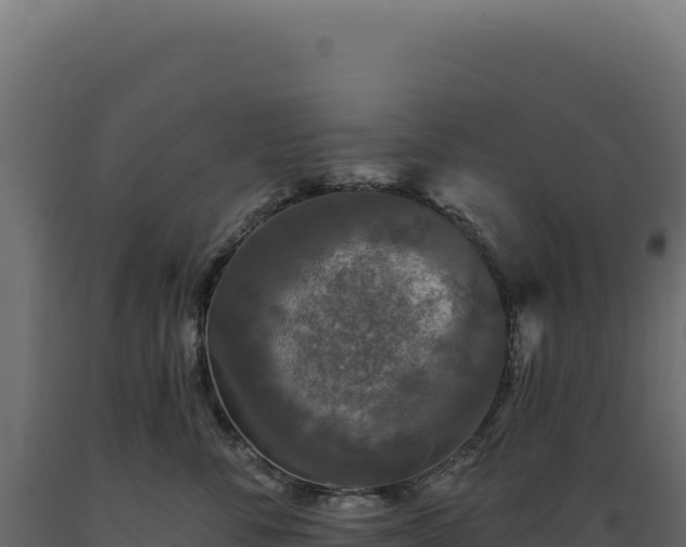 X0000089960716200707061140