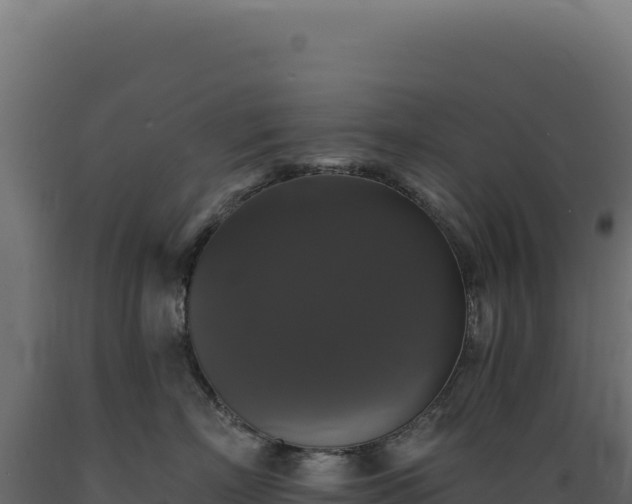 X0000089960718200707061140